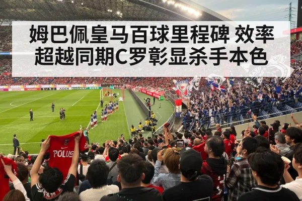 football stadium fans