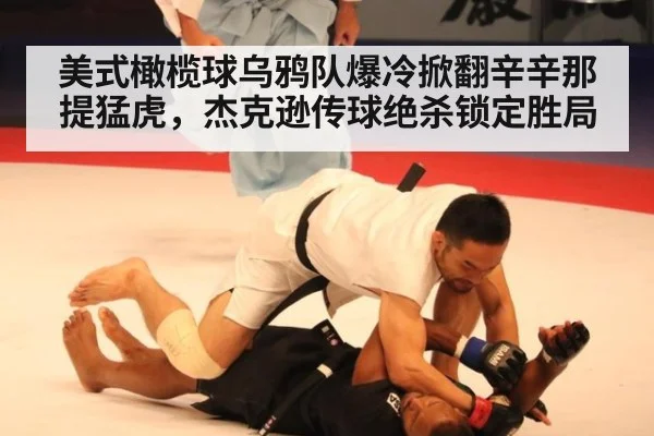美式橄榄球乌鸦队爆冷掀翻辛辛那提猛虎,杰克逊传球绝杀锁定胜局